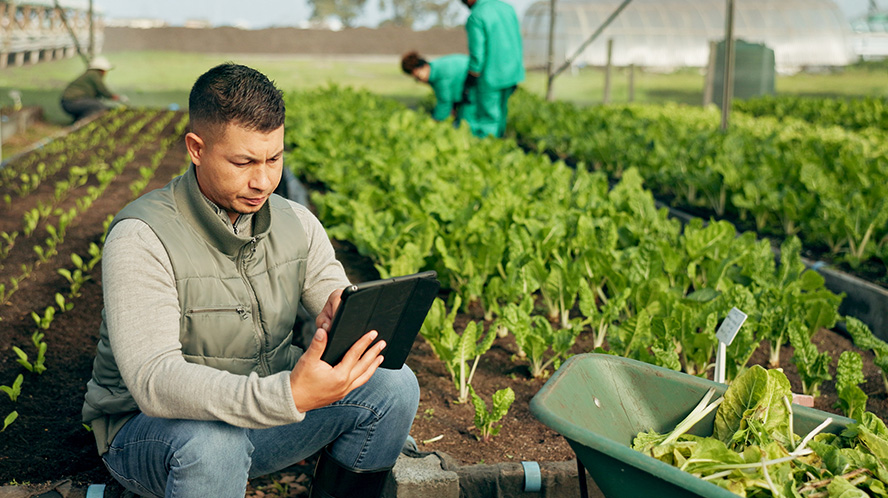 Financing Sustainable Food Systems